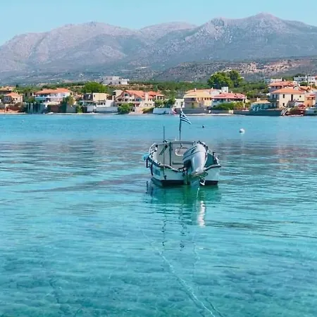80 τ.μ. δίπλα από την θάλασσα στην ελιά.